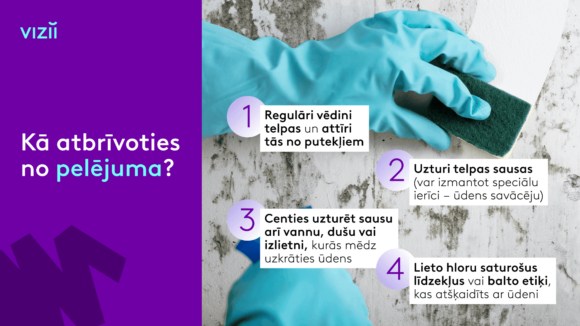 4 soļi kā atbrīvoties no pelējuma?